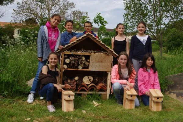 conseil municipal des jeunes - cabane à insectes