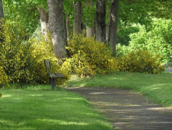 Avenue de la Chênaie